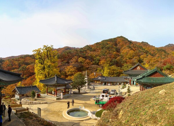 경기도 양평 용문사(사진=양평군)/뉴스후플러스