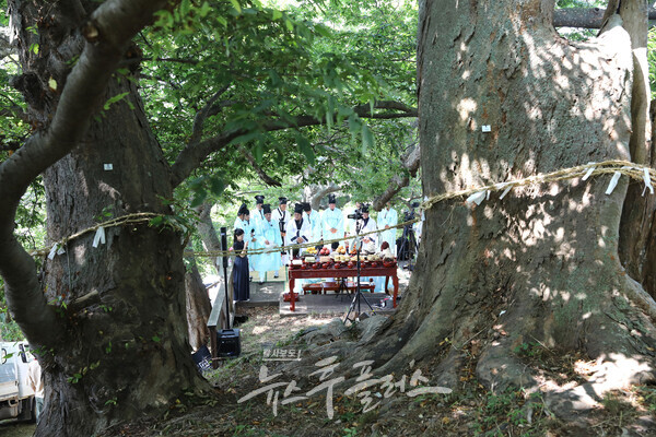 당산제(사진=송금면 작가)/뉴스후플러스