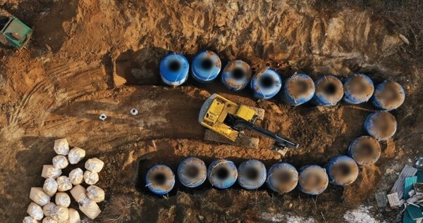 가축전염병에 인해 발생된 가축들을 살처분해서 매장하는 모습 (사진=온라인)