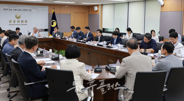 금융위원회는 7일 오후 서울 종로구 정부서울청사에서 신진창 금융위원회 금융정책국장 주재로 주택공급 확대방안의 후속조치 이행을 위한 긴급 가게부채 점검회의를 개최했다. (사진=금융위원회)/뉴스후플러스