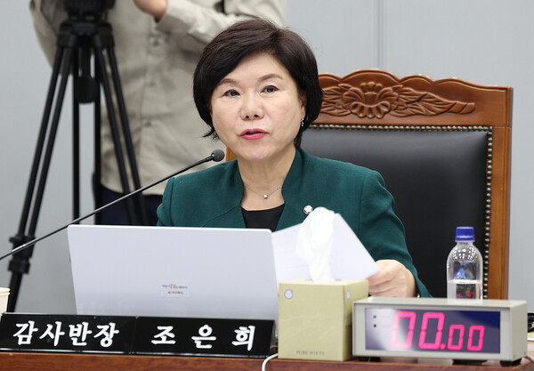 국민의힘 조은희 의원(사진=연합뉴스)/뉴스후플러스