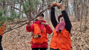 겨울 숲을 지키는 따뜻한 손길, 고양시 '에코 볼런투어' - 뉴스 썸네일 이미지